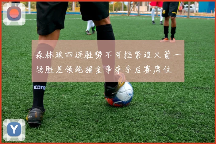 森林狼四连胜势不可挡紧追火箭一场胜差领跑掘金争夺季后赛席位
