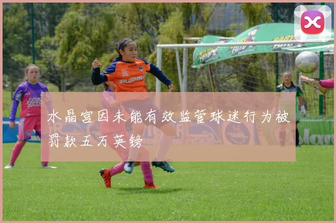 水晶宫因未能有效监管球迷行为被罚款五万英镑